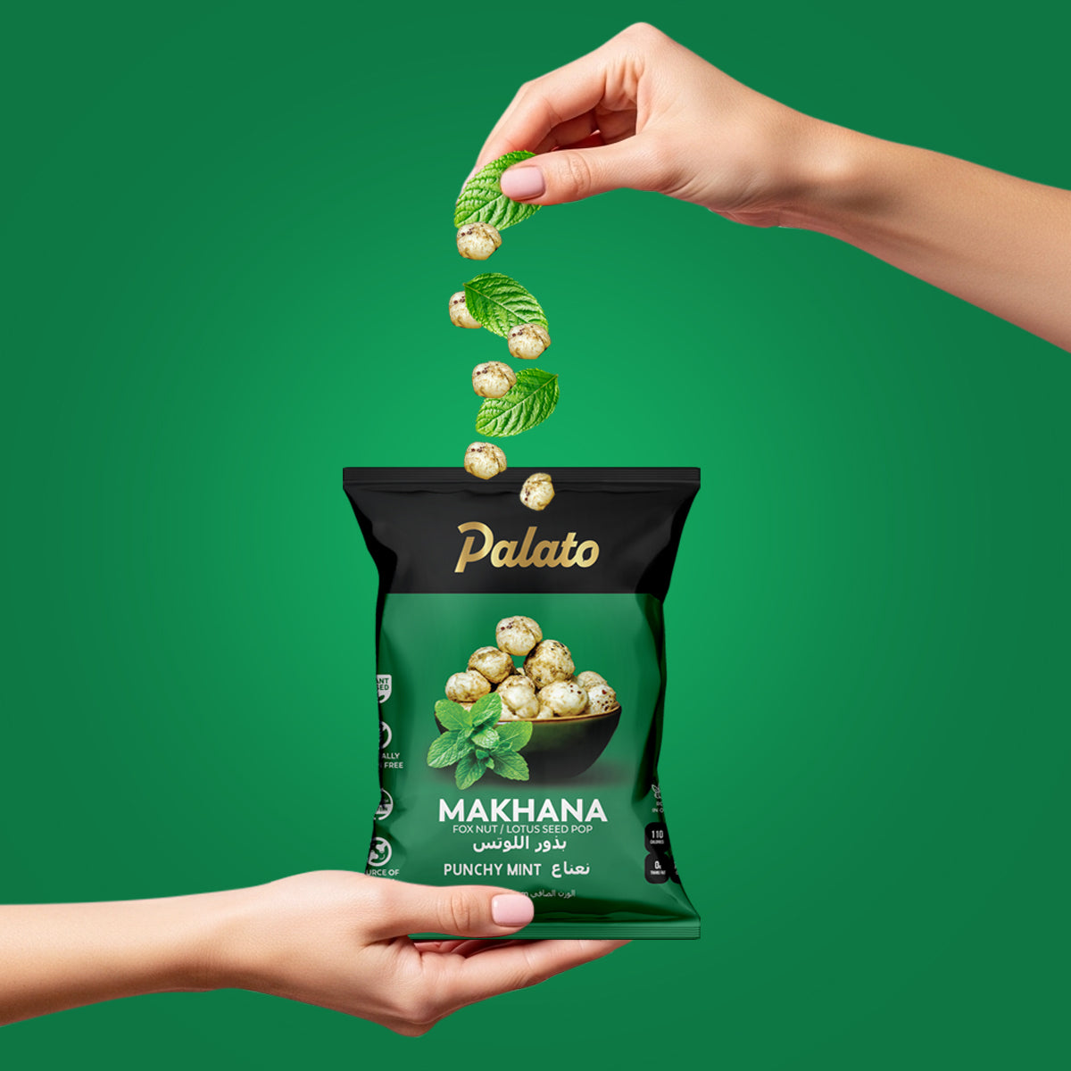 Roasted Makhana-Punchy Mint Flavor 25g